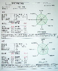 学習指導報告書